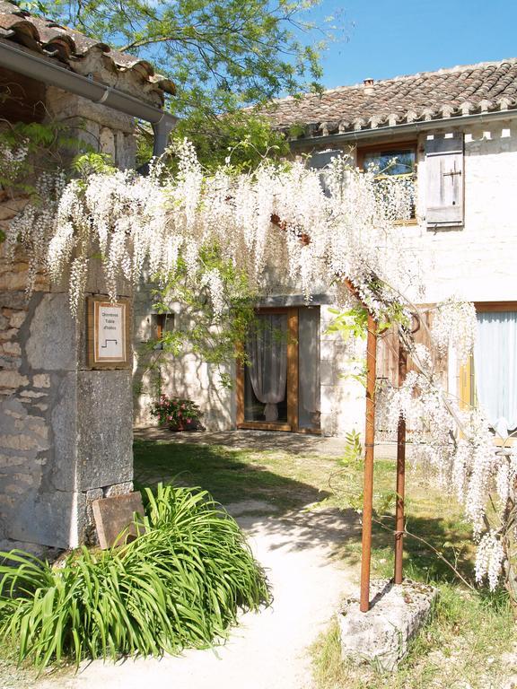 La Vayssade - Maison D'Hotes - Jacuzzi, Piscine & Truffes Lalbenque Zewnętrze zdjęcie