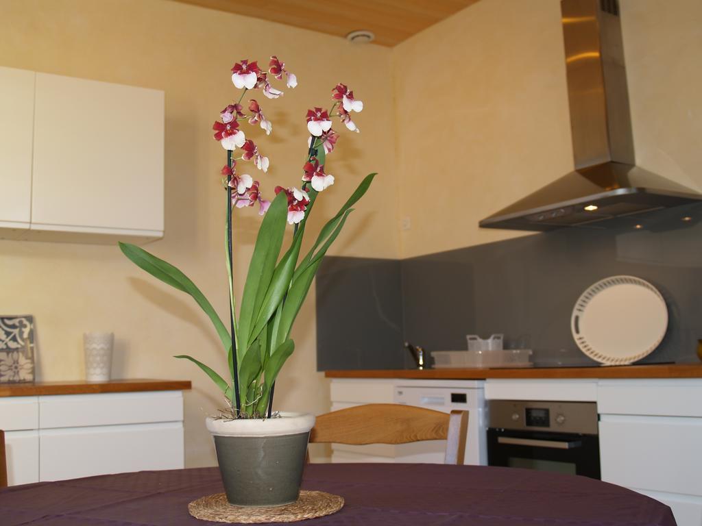 La Vayssade - Maison D'Hotes - Jacuzzi, Piscine & Truffes Lalbenque Zewnętrze zdjęcie