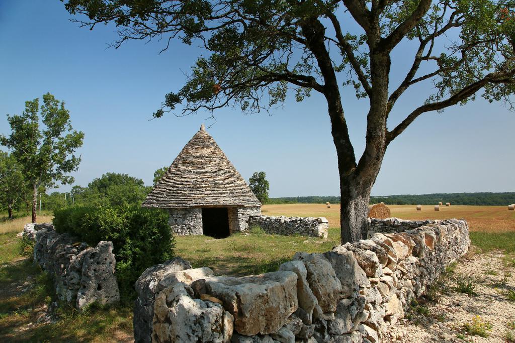 La Vayssade - Maison D'Hotes - Jacuzzi, Piscine & Truffes Lalbenque Zewnętrze zdjęcie